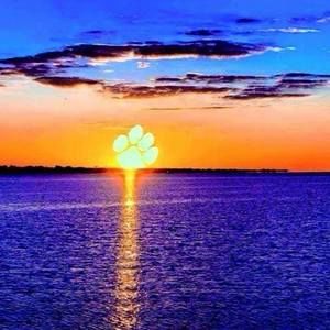 Meet your Posher, Bill